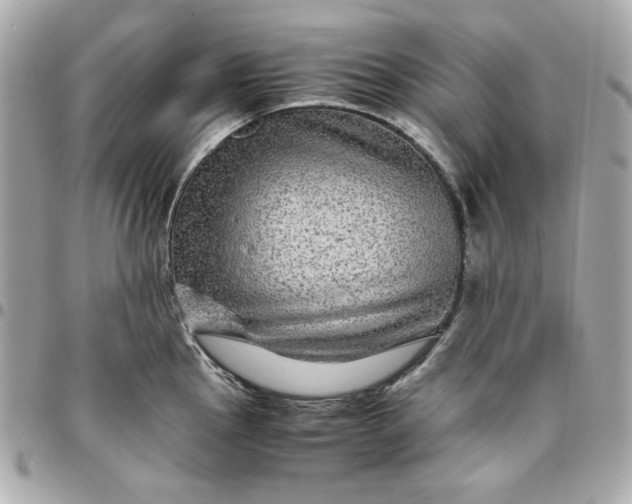 X0000096481145200802071914