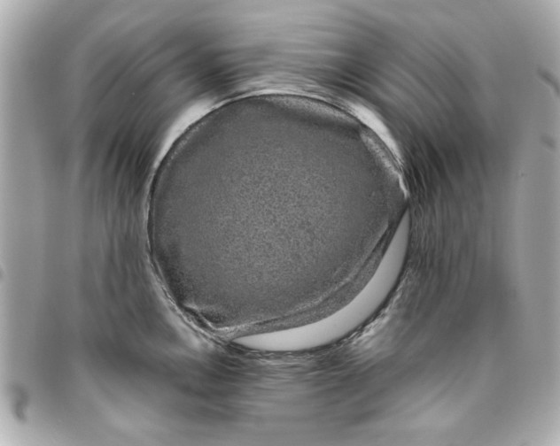 X0000096481146200802071914