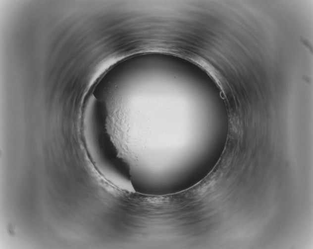 X0000096481147200802071914