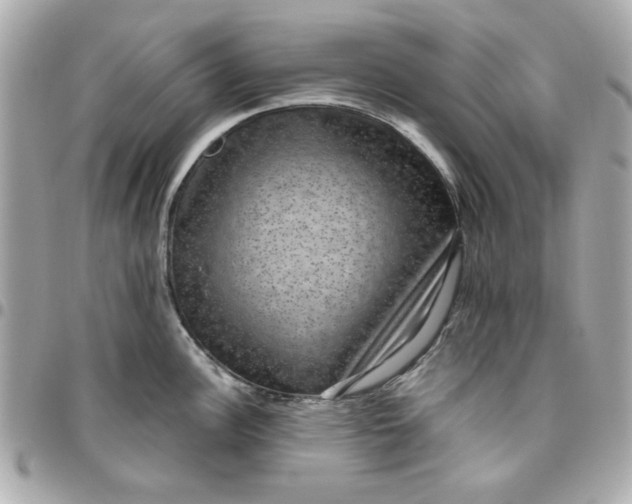 X0000096481148200802071914