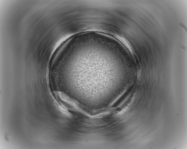 X0000096481149200802071914