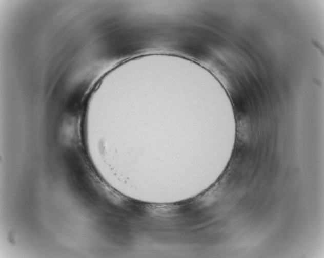 X0000096481150200802071914