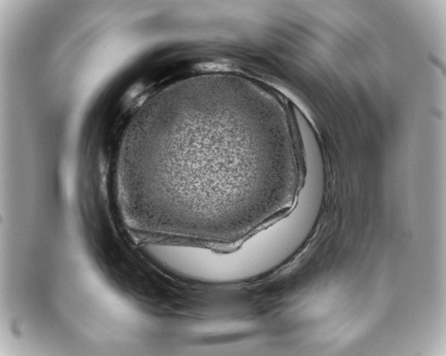 X0000096481151200802071914