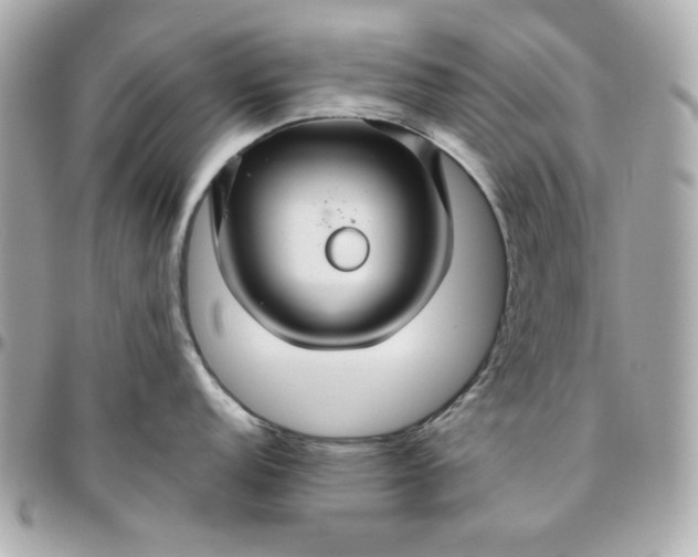 X0000096481152200802071914