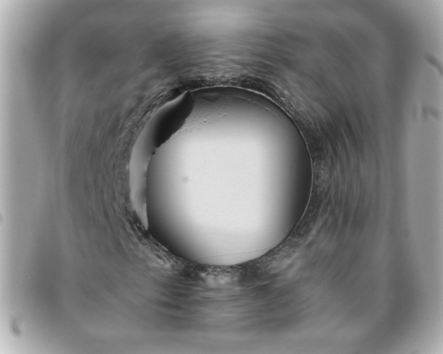 X0000096481153200802071913