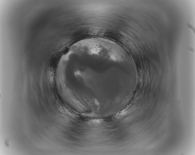 X0000096481154200802071913