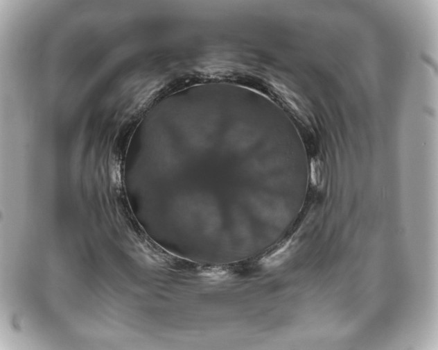 X0000096481155200802071913