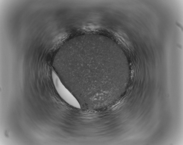 X0000096481156200802071913