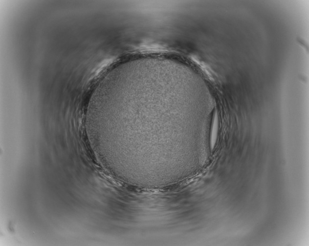 X0000096481157200802071913