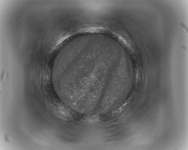 X0000096481158200802071913