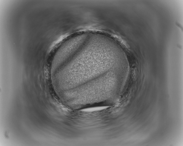 X0000096481159200802071913