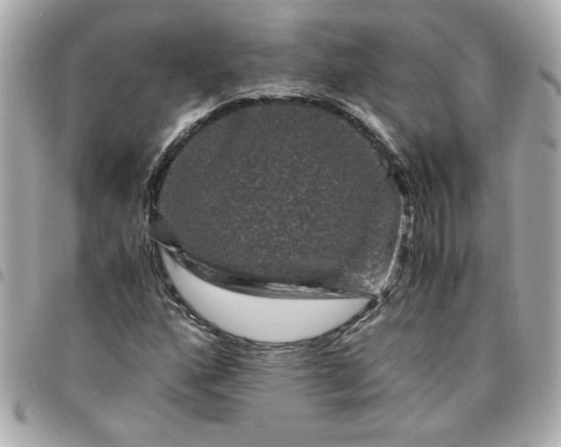 X0000096481160200802071913