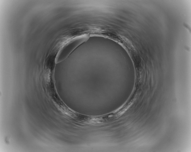 X0000096481161200802071913