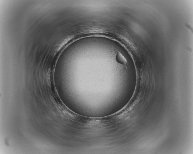 X0000096481162200802071913