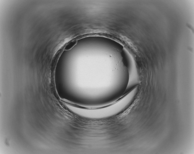 X0000096481165200802071913