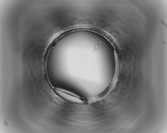 X0000096481168200802071913