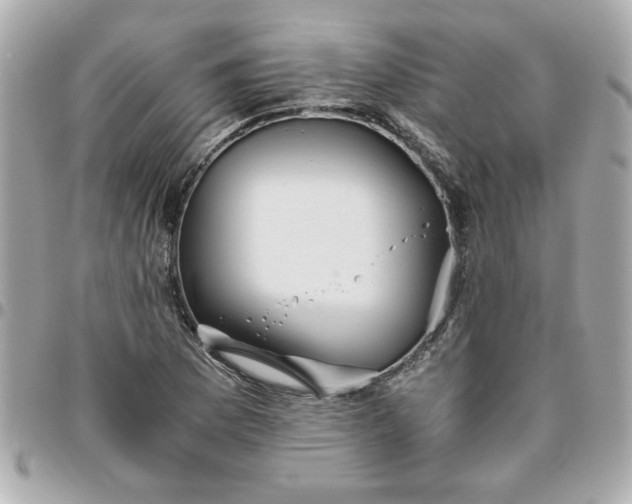 X0000096481169200802071913