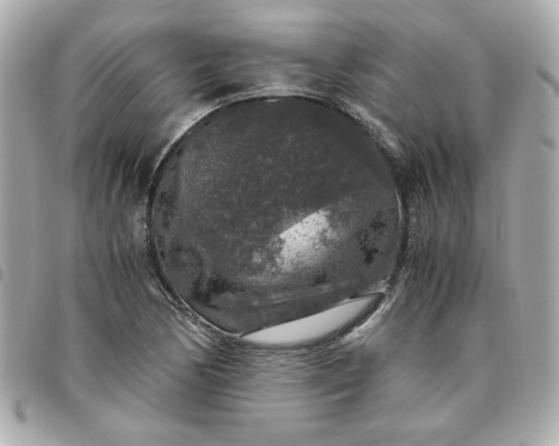 X0000096481170200802071913