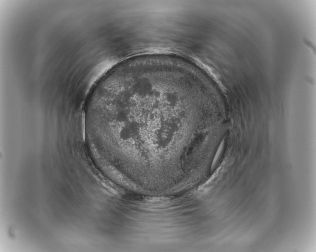 X0000096481171200802071913