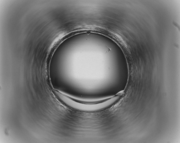 X0000096481172200802071913