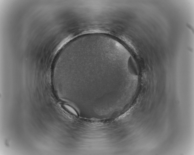 X0000096481173200802071913