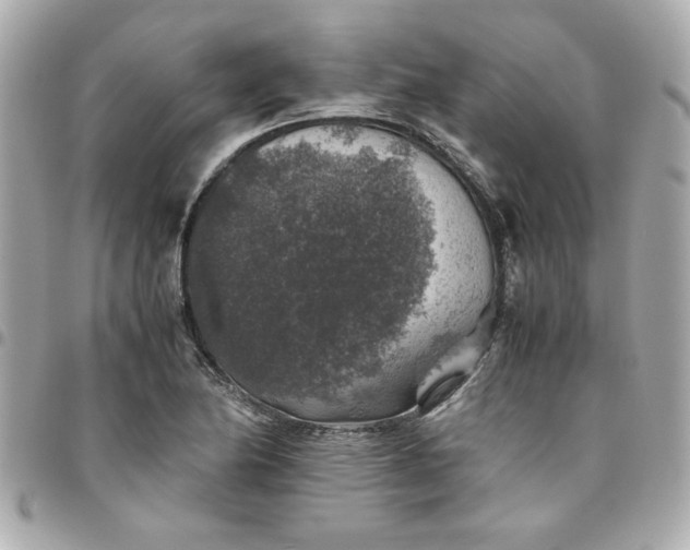 X0000096481174200802071913