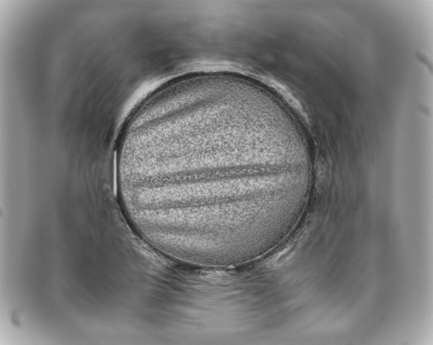 X0000096481175200802071913