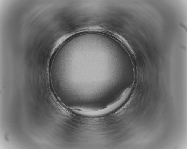 X0000096481176200802071913