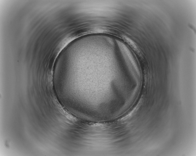 X0000096481178200802071913