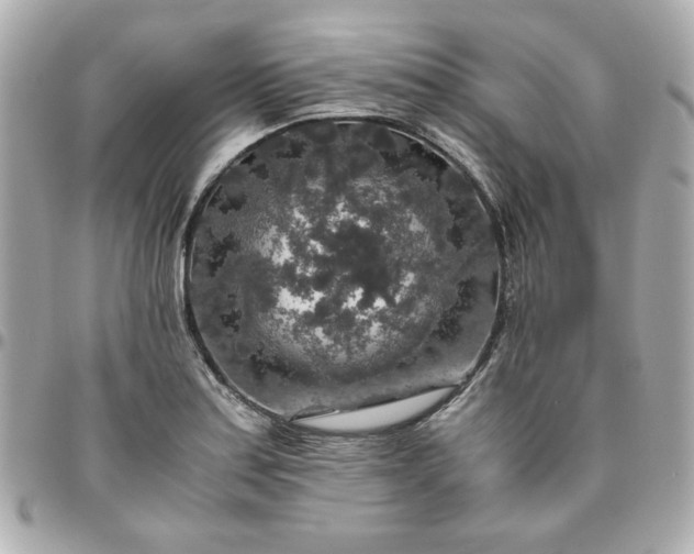 X0000096481179200802071913