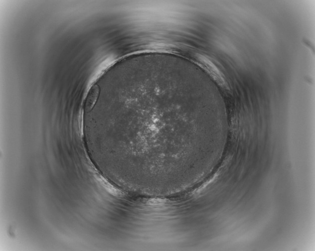 X0000096481180200802071913