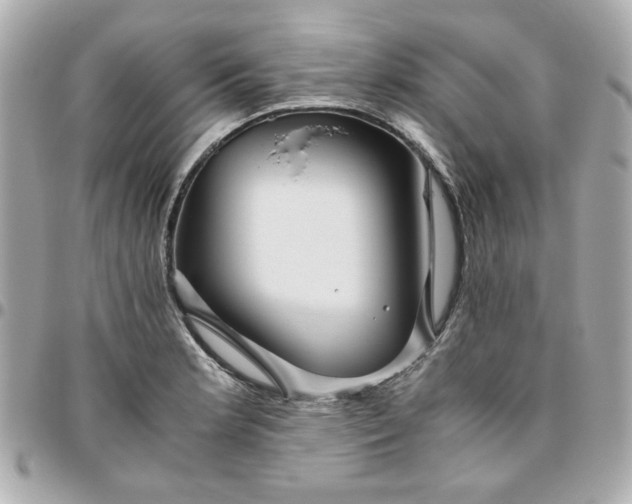 X0000096481181200802071912