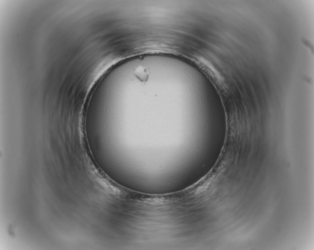 X0000096481182200802071912