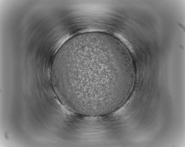 X0000096481185200802071912