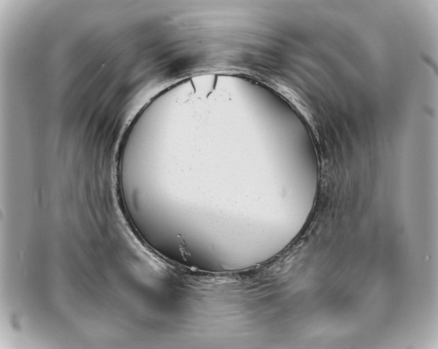 X0000096481187200802071912