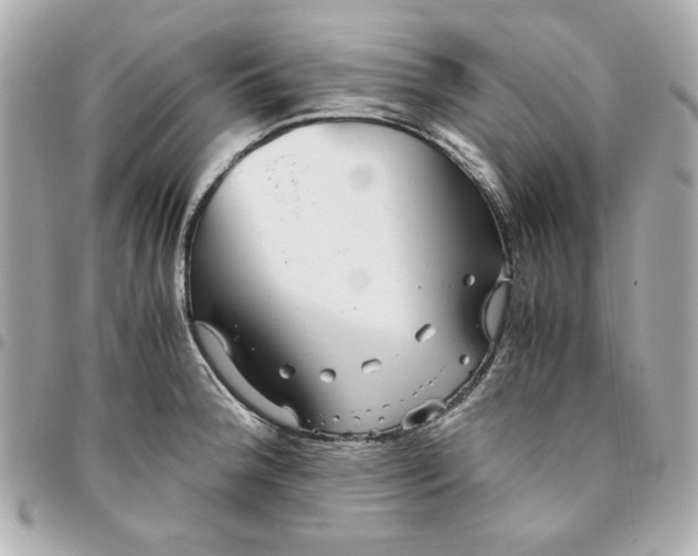 X0000096481188200802071912