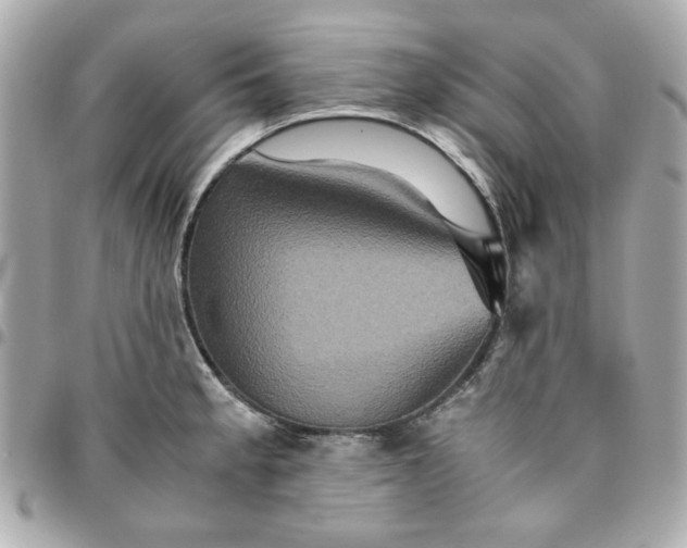 X0000096481189200802071912