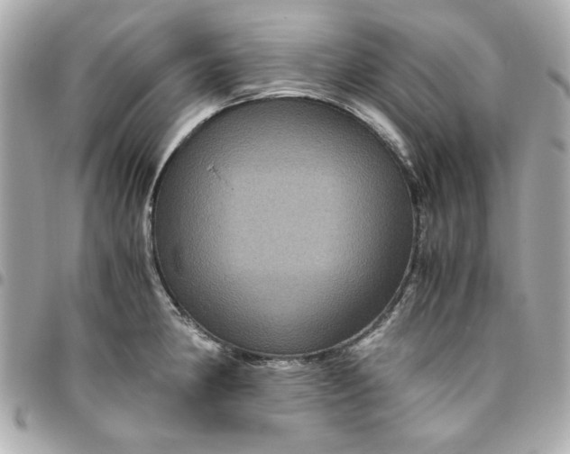 X0000096481190200802071912