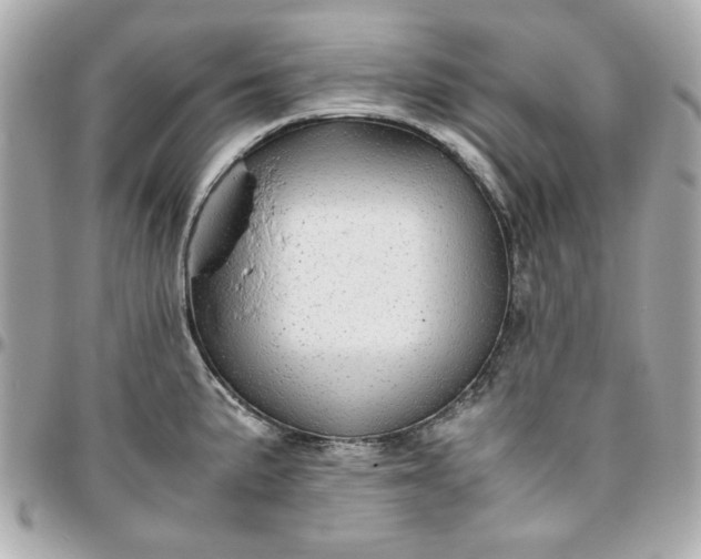 X0000096481191200802071912