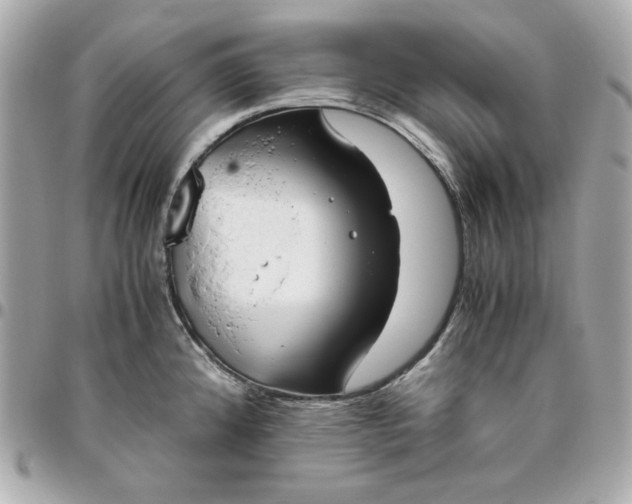 X0000096481192200802071912