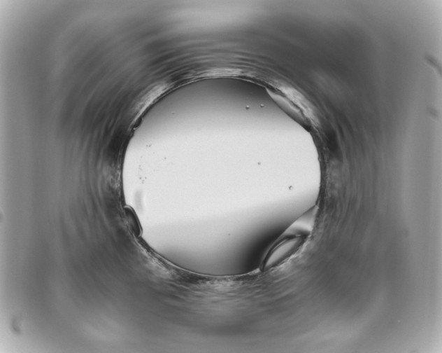 X0000096481193200802071912