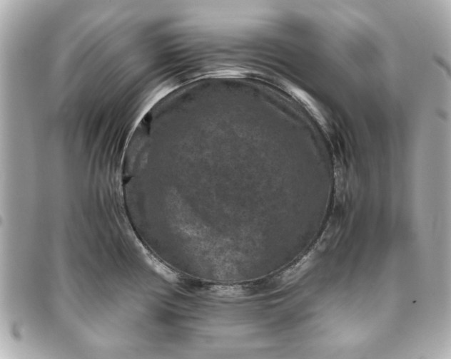 X0000096481194200802071912