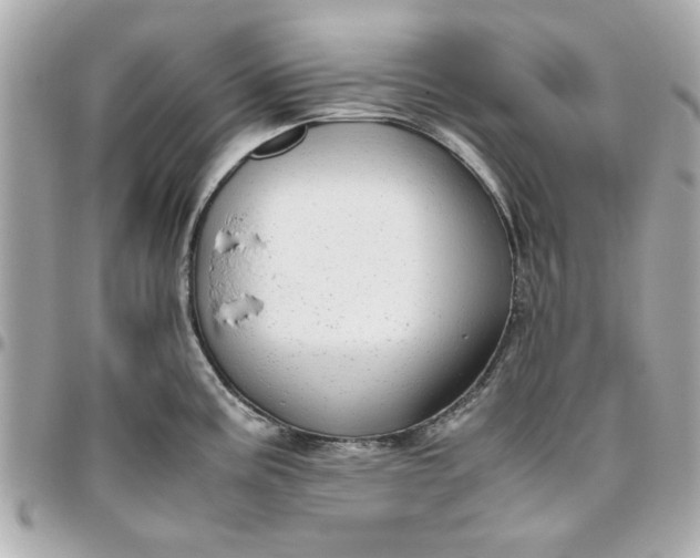 X0000096481195200802071912