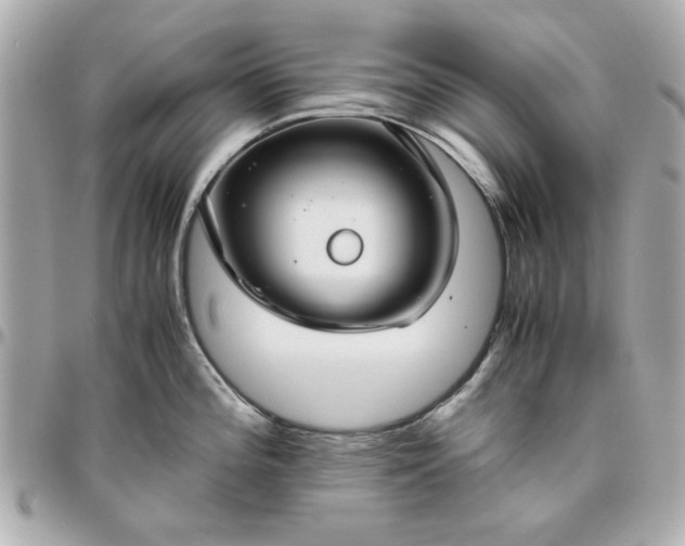 X0000096481196200802071912