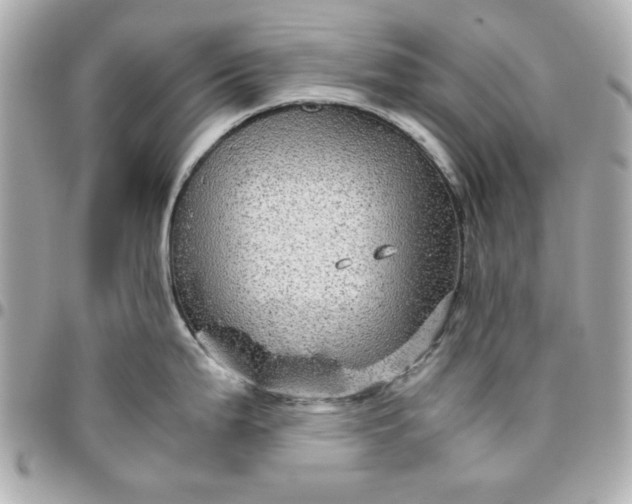 X0000096481199200802071912