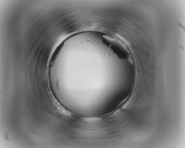 X0000096481200200802071912