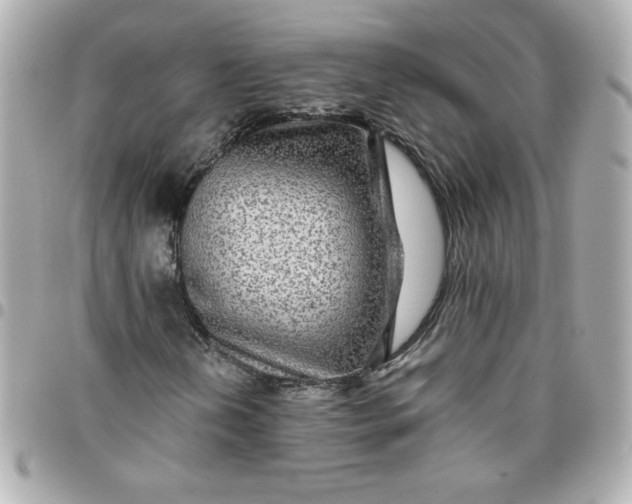 X0000096481202200802071911