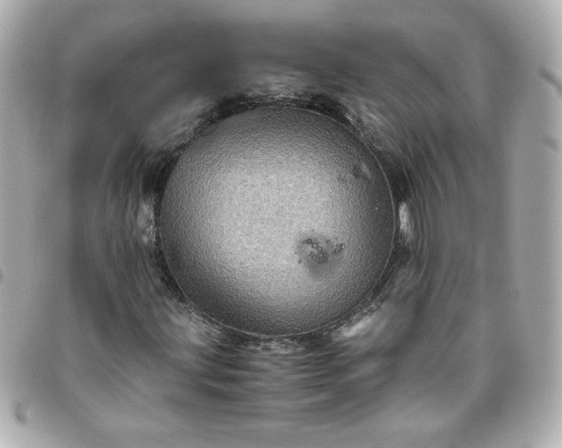 X0000096481203200802071911