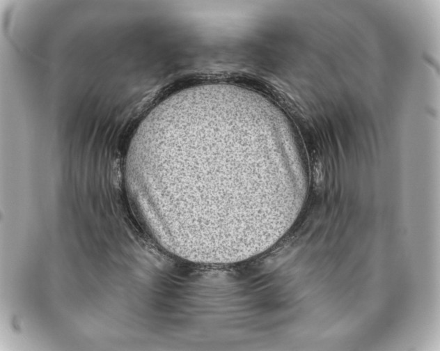 X0000096481204200802071911