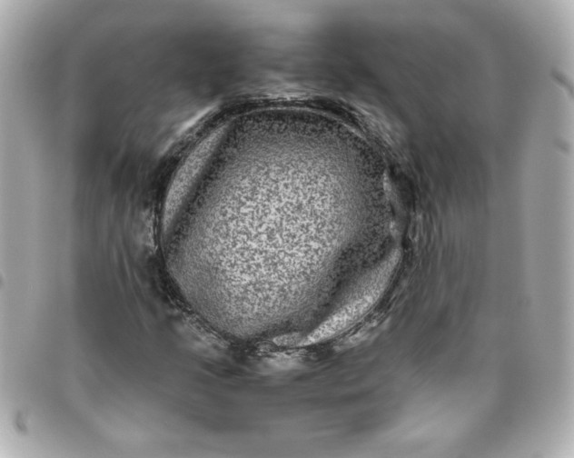 X0000096481205200802071911